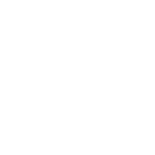 Vidéo